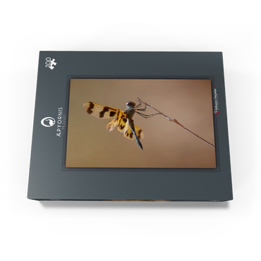 Ready for take-off 100 Jigsaw Puzzle box view1