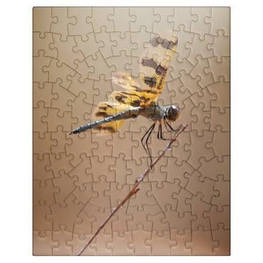 puzzleplate Ready for take-off 100 Jigsaw Puzzle