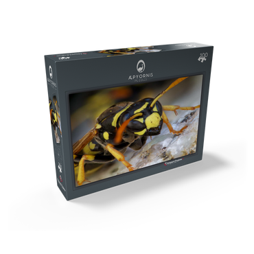 European Paper Wasp 100 Jigsaw Puzzle box view1
