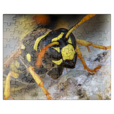 puzzleplate European Paper Wasp 100 Jigsaw Puzzle
