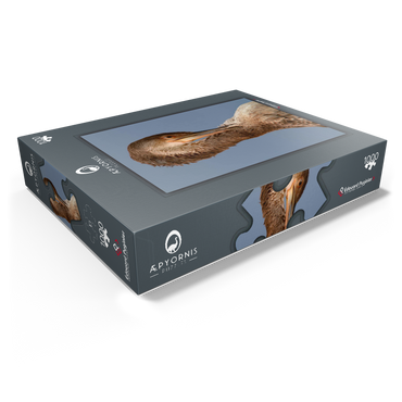 European Shag 1000 Jigsaw Puzzle box view1