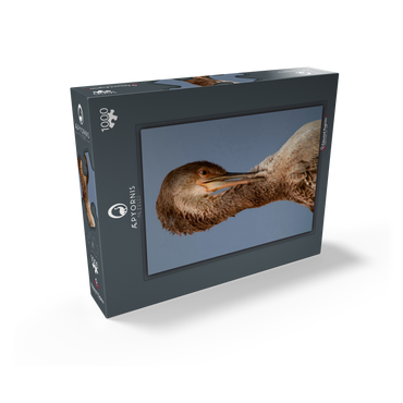 European Shag 1000 Jigsaw Puzzle box view1