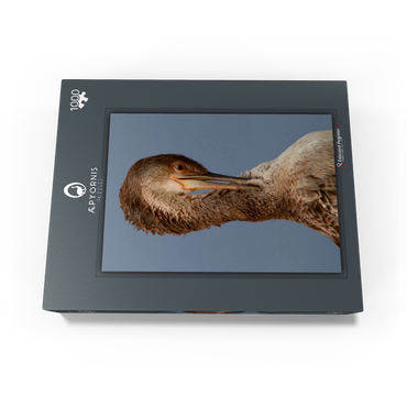 European Shag 1000 Jigsaw Puzzle box view1