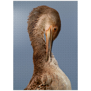 puzzleplate European Shag 1000 Jigsaw Puzzle