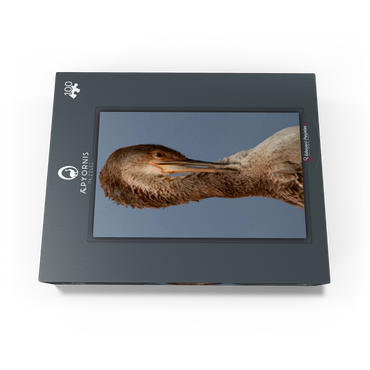 European Shag 100 Jigsaw Puzzle box view1