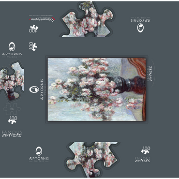 Chrysanthemums 1882 by Claude Monet 100 Jigsaw Puzzle box 3D Modell