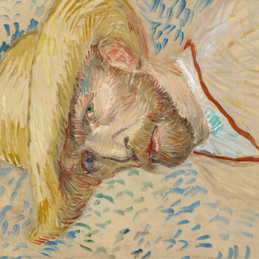 Vincent van Goghs Self-Portrait with a Straw Hat 1887 100 Jigsaw Puzzle 3D Modell