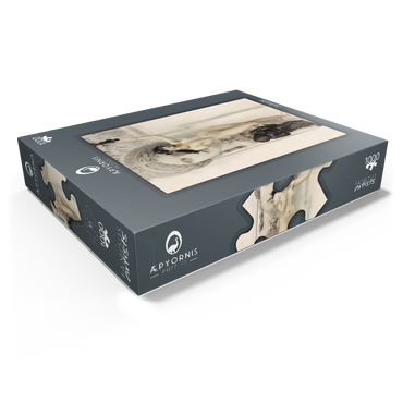 Gustav Klimt's Allegory of Sculpture (1889) paintings in 1000 Jigsaw Puzzle box view1