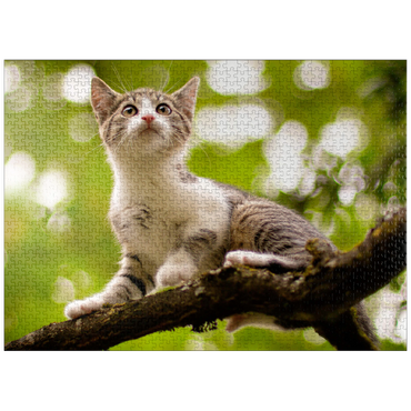 puzzleplate Minka climbs 1000 Jigsaw Puzzle