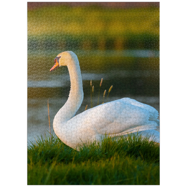 puzzleplate Lake swan 1000 Jigsaw Puzzle
