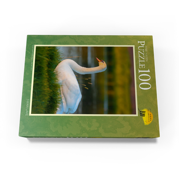 Lake swan 100 Jigsaw Puzzle box view1