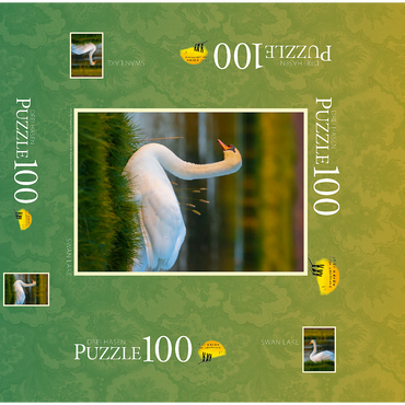 Lake swan 100 Jigsaw Puzzle box 3D Modell