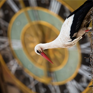 Stork time 1000 Jigsaw Puzzle 3D Modell