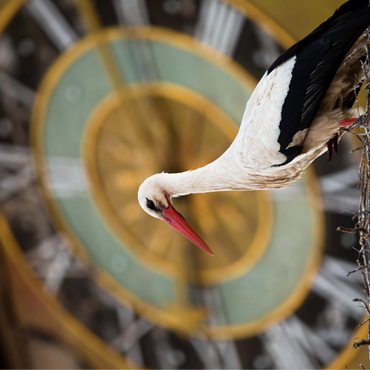 Stork Time 100 Jigsaw Puzzle 3D Modell