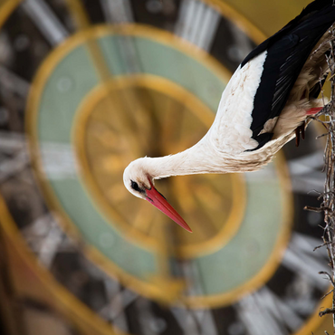 Stork Time 500 Jigsaw Puzzle 3D Modell