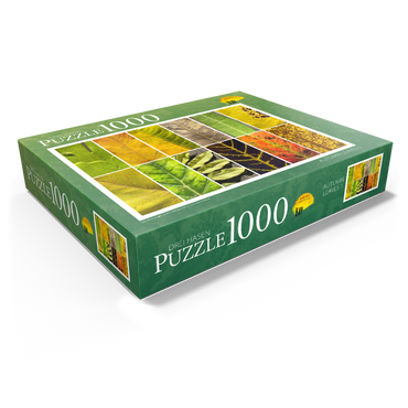 Autumn Leaves 1 1000 Jigsaw Puzzle box view1