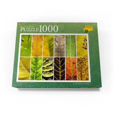 Autumn Leaves 1 1000 Jigsaw Puzzle box view1