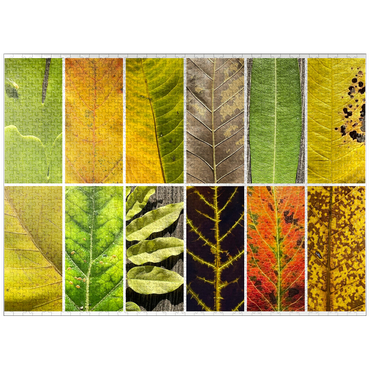 puzzleplate Autumn Leaves 1 1000 Jigsaw Puzzle