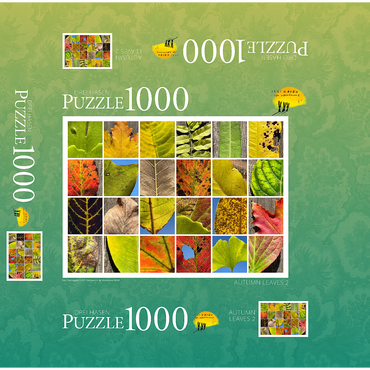 Autumn Leaves 2 1000 Jigsaw Puzzle box 3D Modell