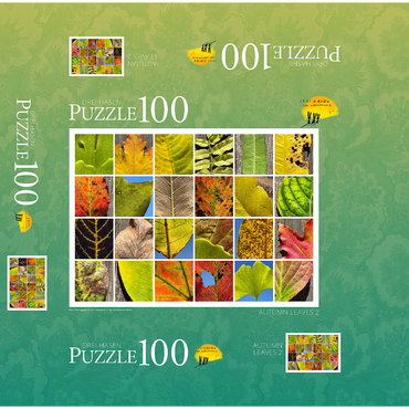 Autumn Leaves 2 100 Jigsaw Puzzle box 3D Modell
