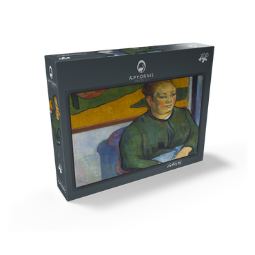 Paul Gauguins Madame Roulin 1888 100 Jigsaw Puzzle box view1