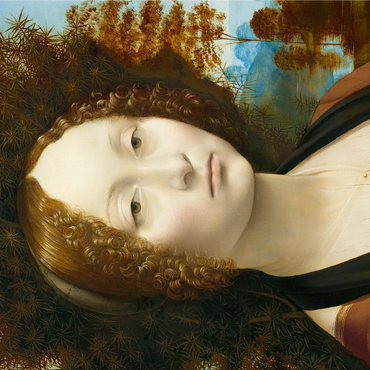 Ginevra de' Benci 1000 Jigsaw Puzzle 3D Modell