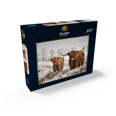 Hairy Scottish Highland cattle in a winter landscape 1000 Jigsaw Puzzle box view1
