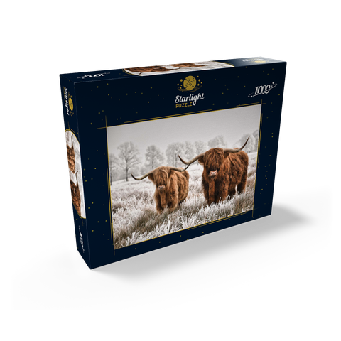 Hairy Scottish Highland cattle in a winter landscape 1000 Jigsaw Puzzle box view1
