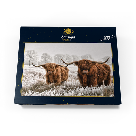 Hairy Scottish Highland cattle in a winter landscape 100 Jigsaw Puzzle box view1