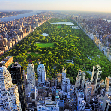 Aerial view of Central Park, Manhattan, New York 1000 Jigsaw Puzzle 3D Modell