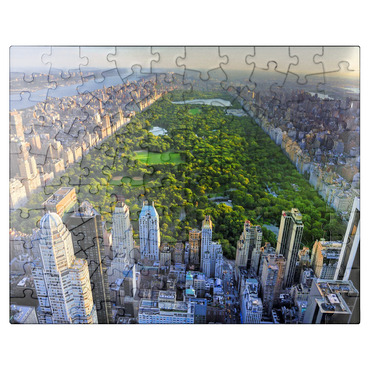 puzzleplate Aerial view of Central Park Manhattan New York 100 Jigsaw Puzzle
