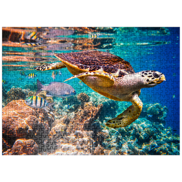 puzzleplate Hawksbill Turtle Maldives 500 Jigsaw Puzzle
