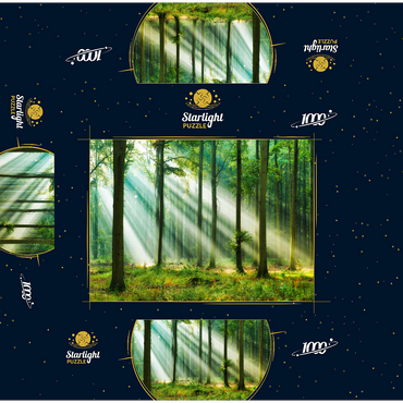 Beautiful morning in the forest 1000 Jigsaw Puzzle box 3D Modell