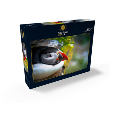 Puffin on a rock West Iceland Fjord 100 Jigsaw Puzzle box view1