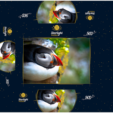 Puffin on a rock West Iceland Fjord 500 Jigsaw Puzzle box 3D Modell