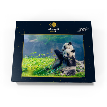 Mother panda and her baby panda eating bamboo 1000 Jigsaw Puzzle box view1