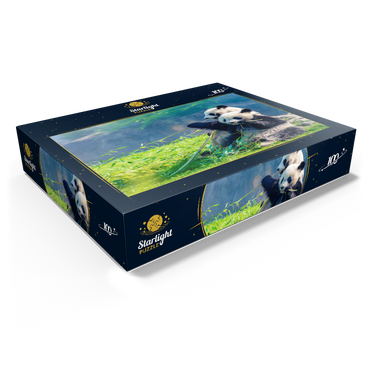Mother panda and her baby panda eating bamboo 100 Jigsaw Puzzle box view1