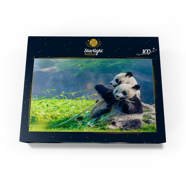 Mother panda and her baby panda eating bamboo 100 Jigsaw Puzzle box view1