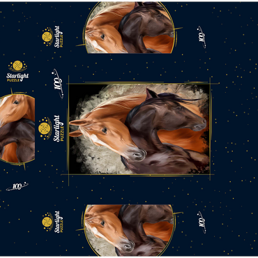Horse Hug 100 Jigsaw Puzzle box 3D Modell