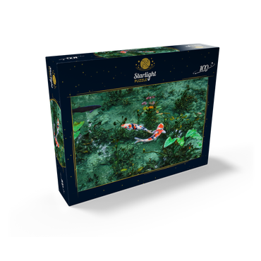 Monets koi pond in Seki city Gifu prefecture Japan 100 Jigsaw Puzzle box view1