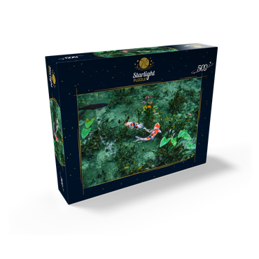 Monets koi pond in Seki city Gifu prefecture Japan 500 Jigsaw Puzzle box view1