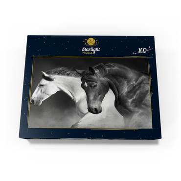 Horses run gallop in the desert 100 Jigsaw Puzzle box view1