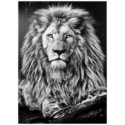 puzzleplate Black and white image of majestic lion 1000 Jigsaw Puzzle