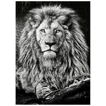 puzzleplate Black and white image of majestic lion 500 Jigsaw Puzzle