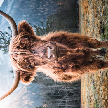 Highland cattle in the Italian Dolomites 1000 Jigsaw Puzzle 3D Modell