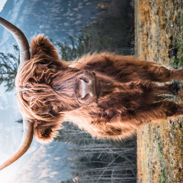 Highland cattle in the Italian Dolomites 100 Jigsaw Puzzle 3D Modell