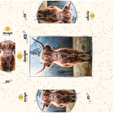 Highland cattle in the Italian Dolomites 100 Jigsaw Puzzle box 3D Modell