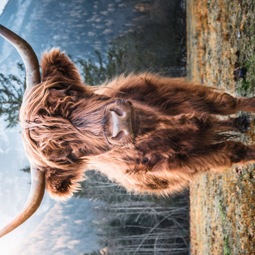 Highland cattle in the Italian Dolomites 500 Jigsaw Puzzle 3D Modell