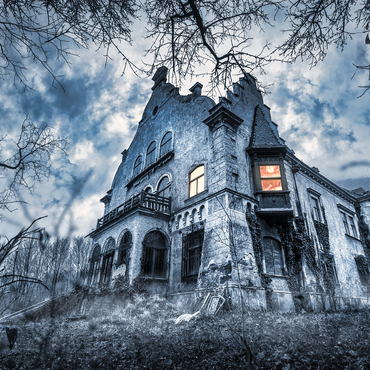 Lost Places - Old enchanted abandoned house 500 Jigsaw Puzzle 3D Modell