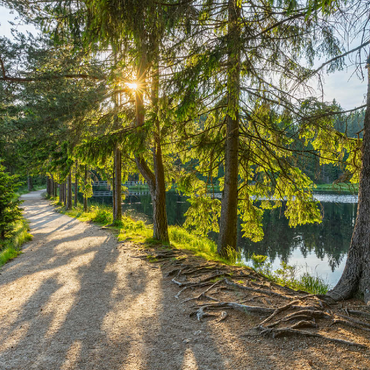 Lake Fichtel with the natural forest reserve Fichtelseemoor, high moor in the municipal area Fichtelberg 100 Jigsaw Puzzle 3D Modell